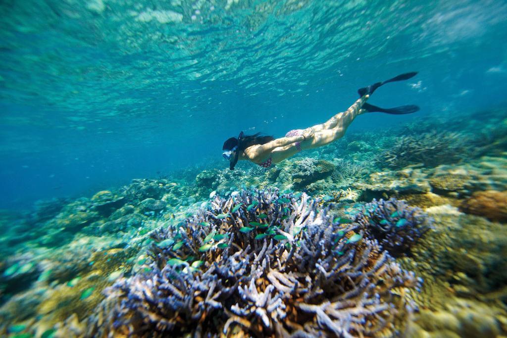 Mantaray Island Resort Nanuya Balavu Island Bagian luar foto